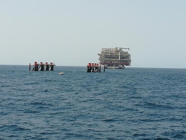 1541226465351569.jpg 2.jpg