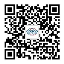 1560925757184176.jpg 1.jpg