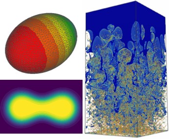 1676037023472249.jpg fig5.jpg